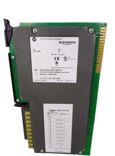 Allen Bradley 1771-OM